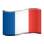 fr flag